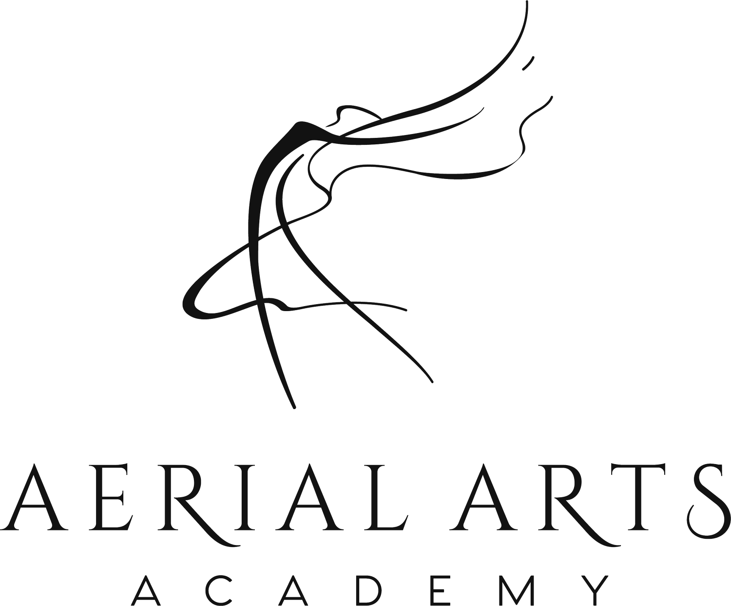 Aerial Arts Academy