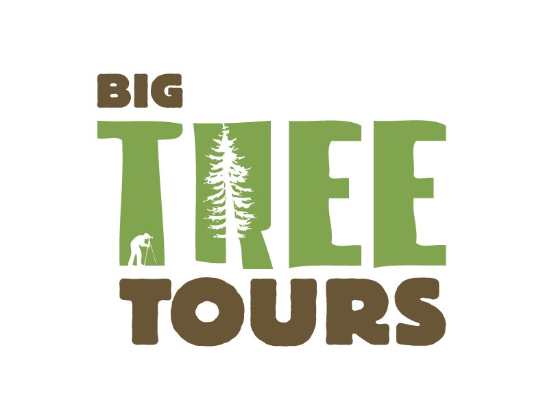 Big Tree Tours