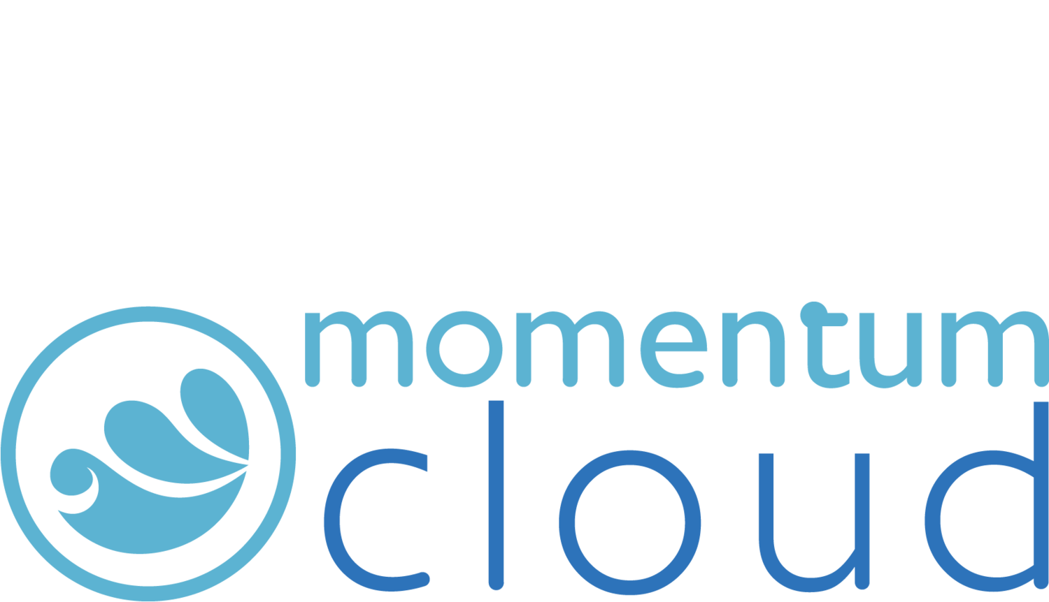 Momentum Cloud