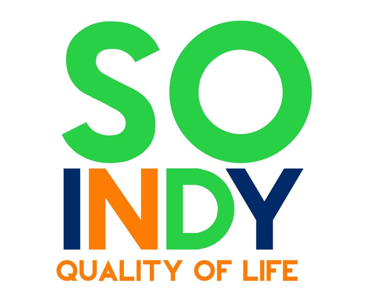 South Indy Quality of Life Plan