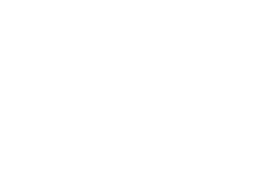 Greenlight Delivery Platform