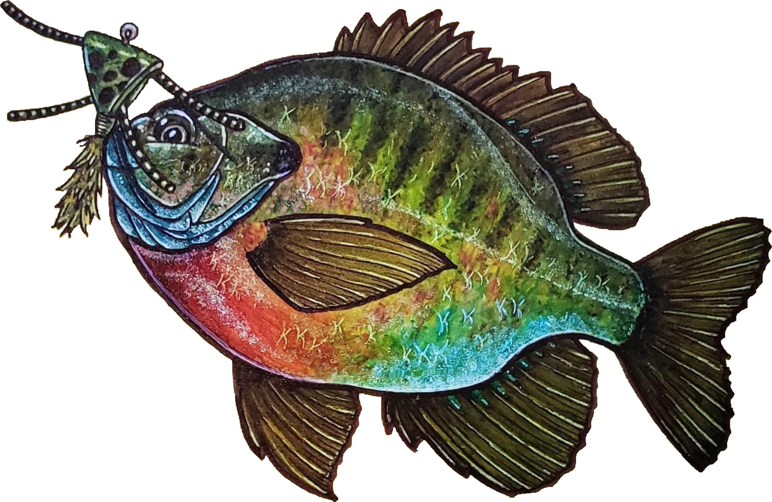 Bluegill with Triangle Bug Sticker — Panfish On The Fly