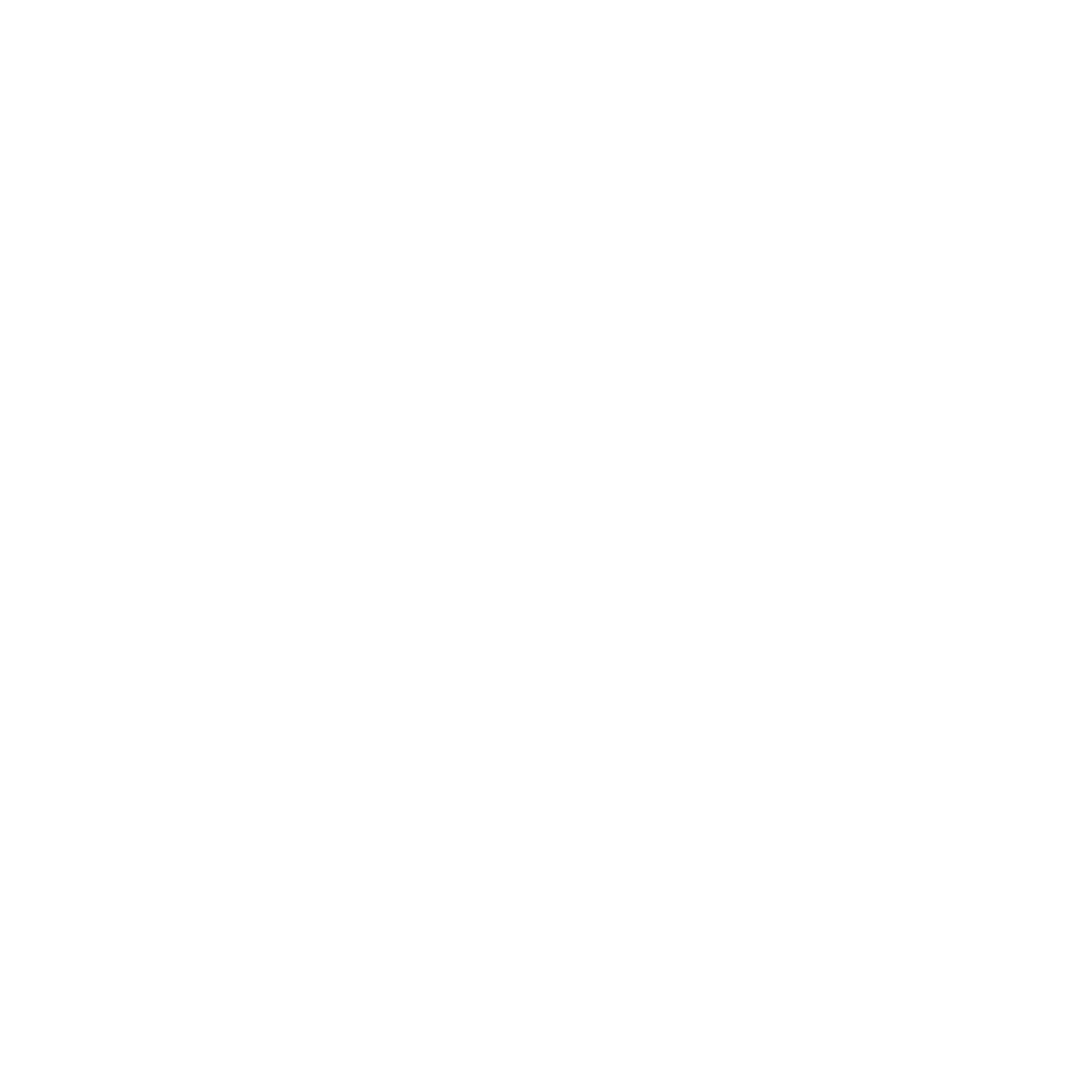 EV