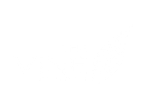 The Vine Church