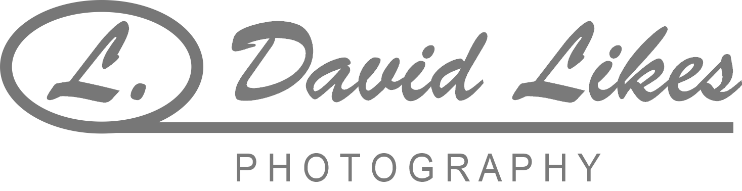 Portrait Teaching Photographer | L David Likes