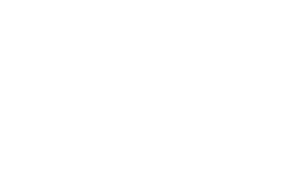 Delaware College Scholars Program