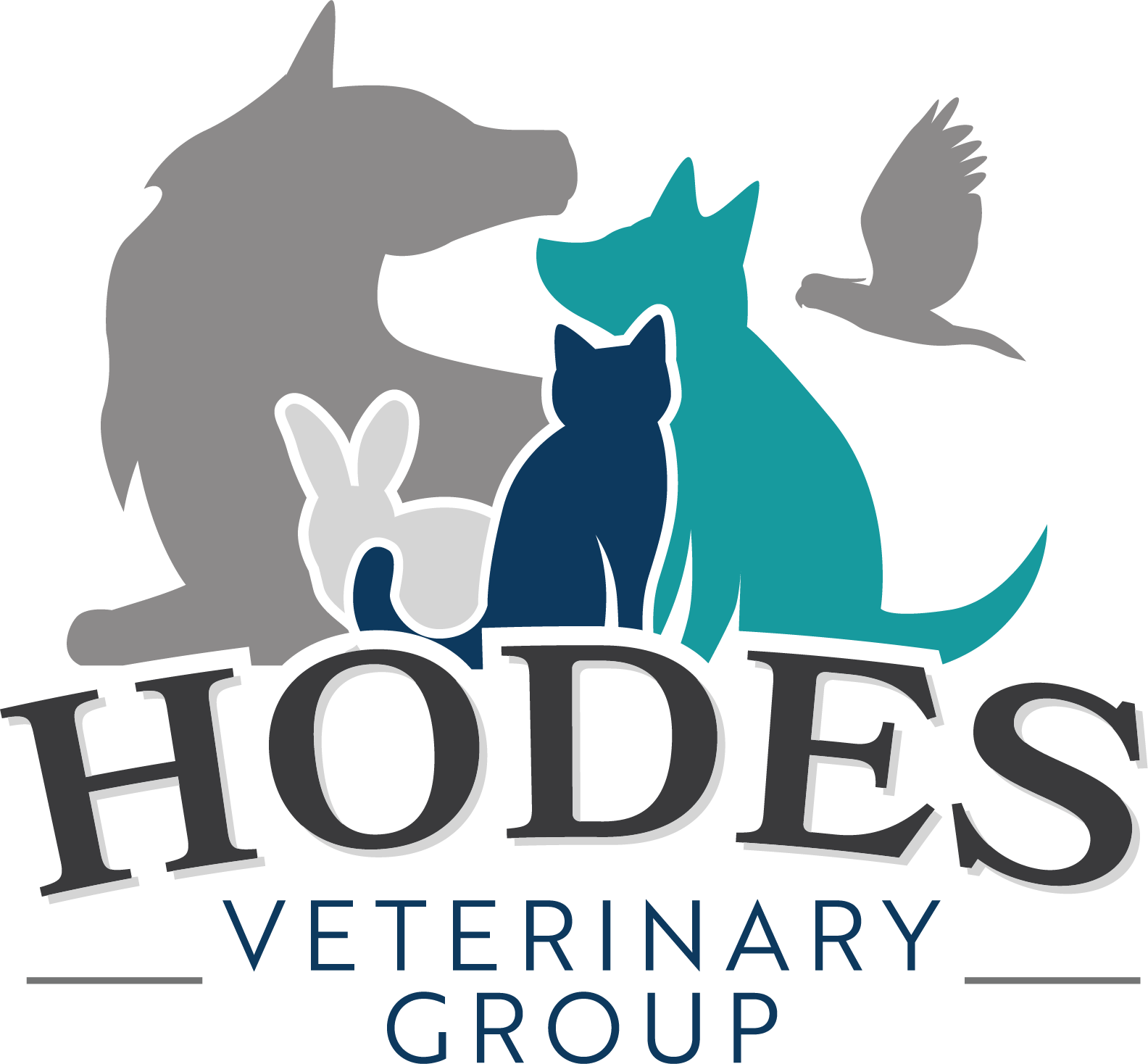 Hodes Veterinary Group