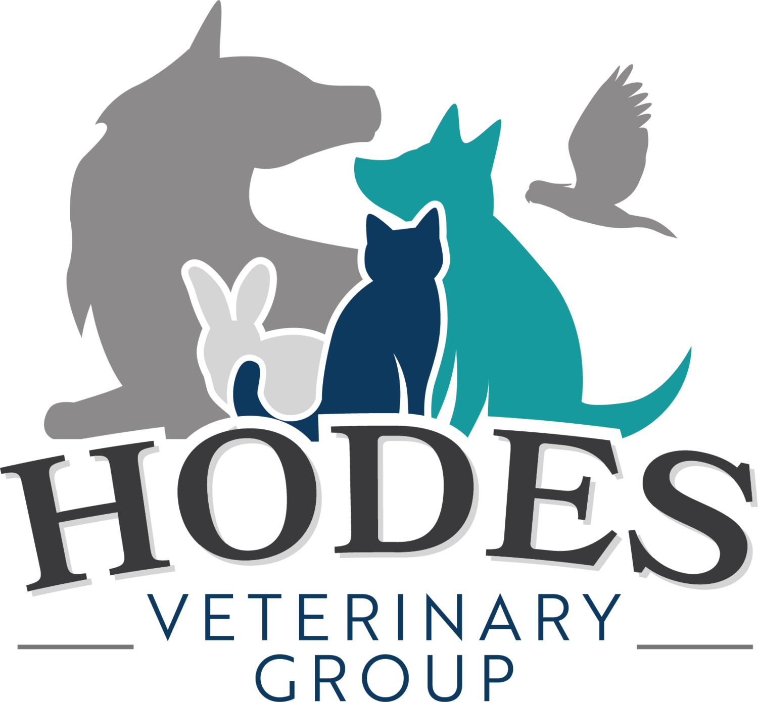 Hodes Veterinary Group