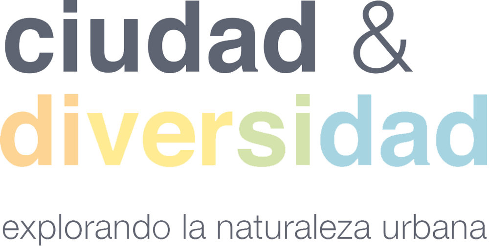 Ciudad y Diversidad