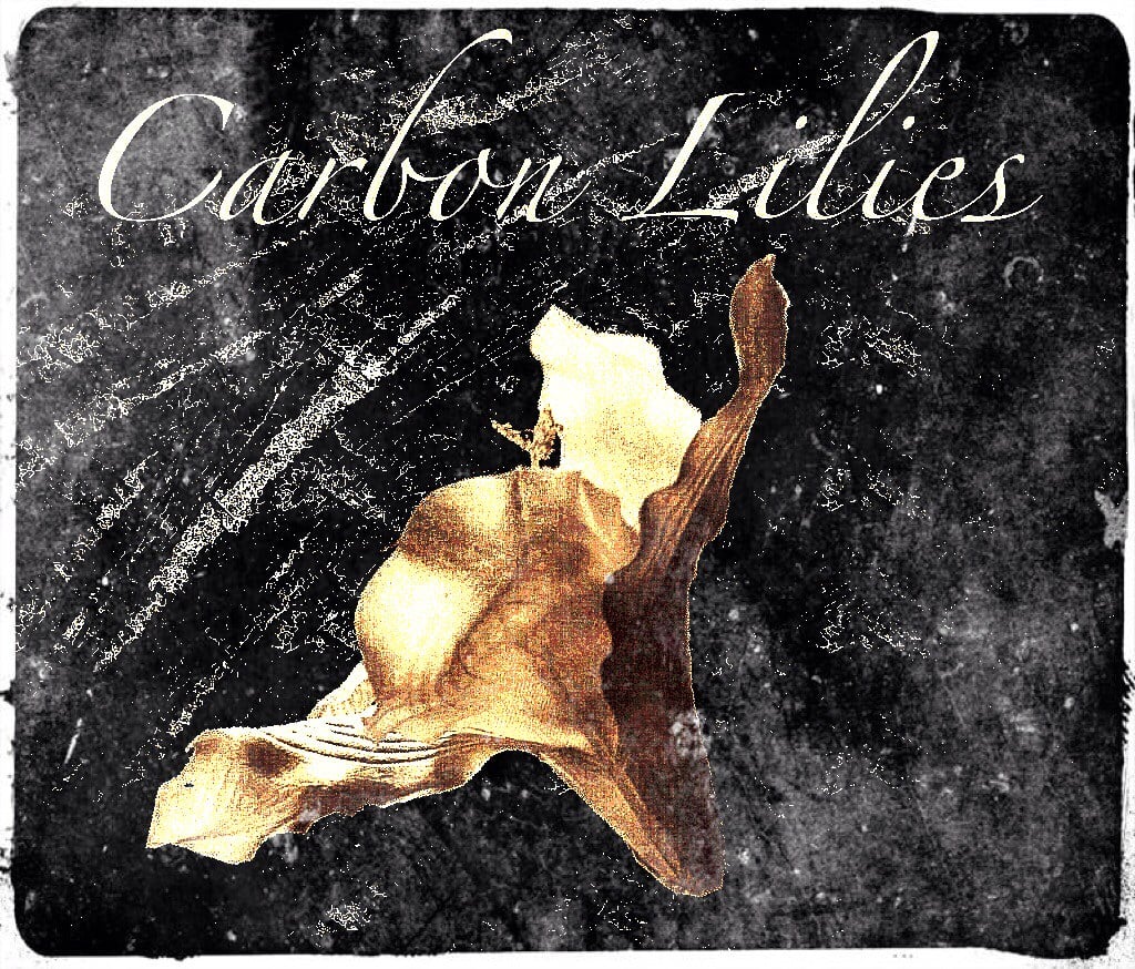 Carbon Lilies