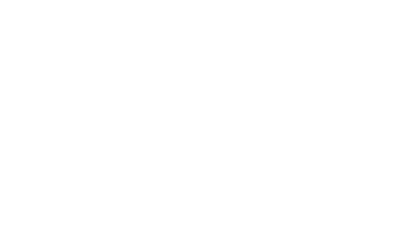 The Mitten Brewing Co.