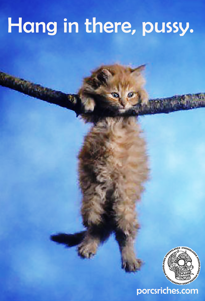 Amazon Com Posterforhome Hang In There Wall Poster Lovely Hang In There Cat Poster Lovely Cat Jumping Poster Decorative For Home 20 X 30 Posters Prints