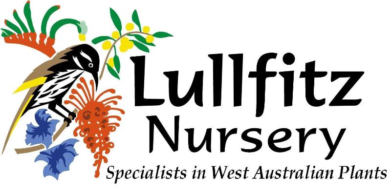 Lullfitz Nursery