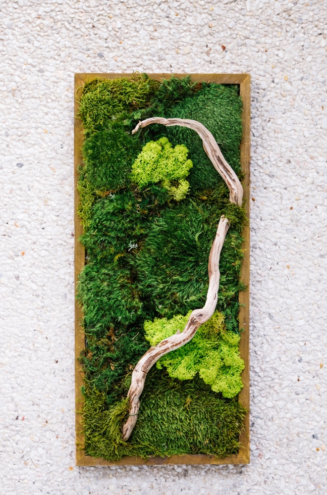 Moss Wall Art with Driftwood in BeltLine Box Frame