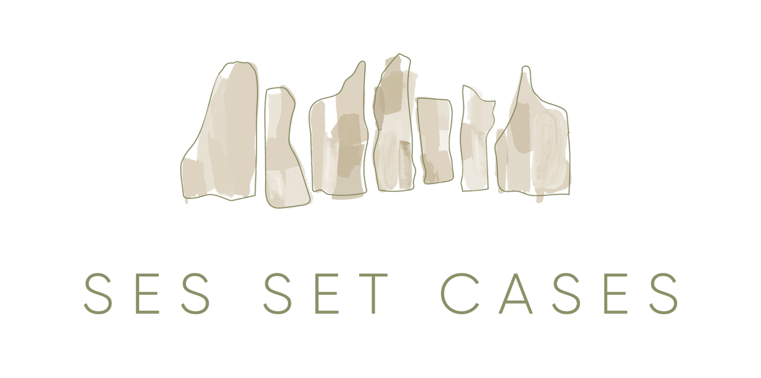 SES SET CASES