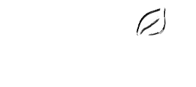 Caroline's Real Bread Company