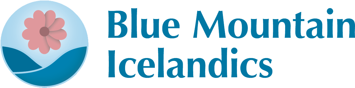 Blue Mountain Icelandics