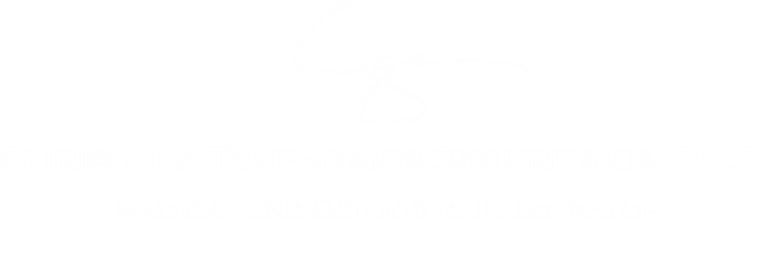 Skouri Illustrations