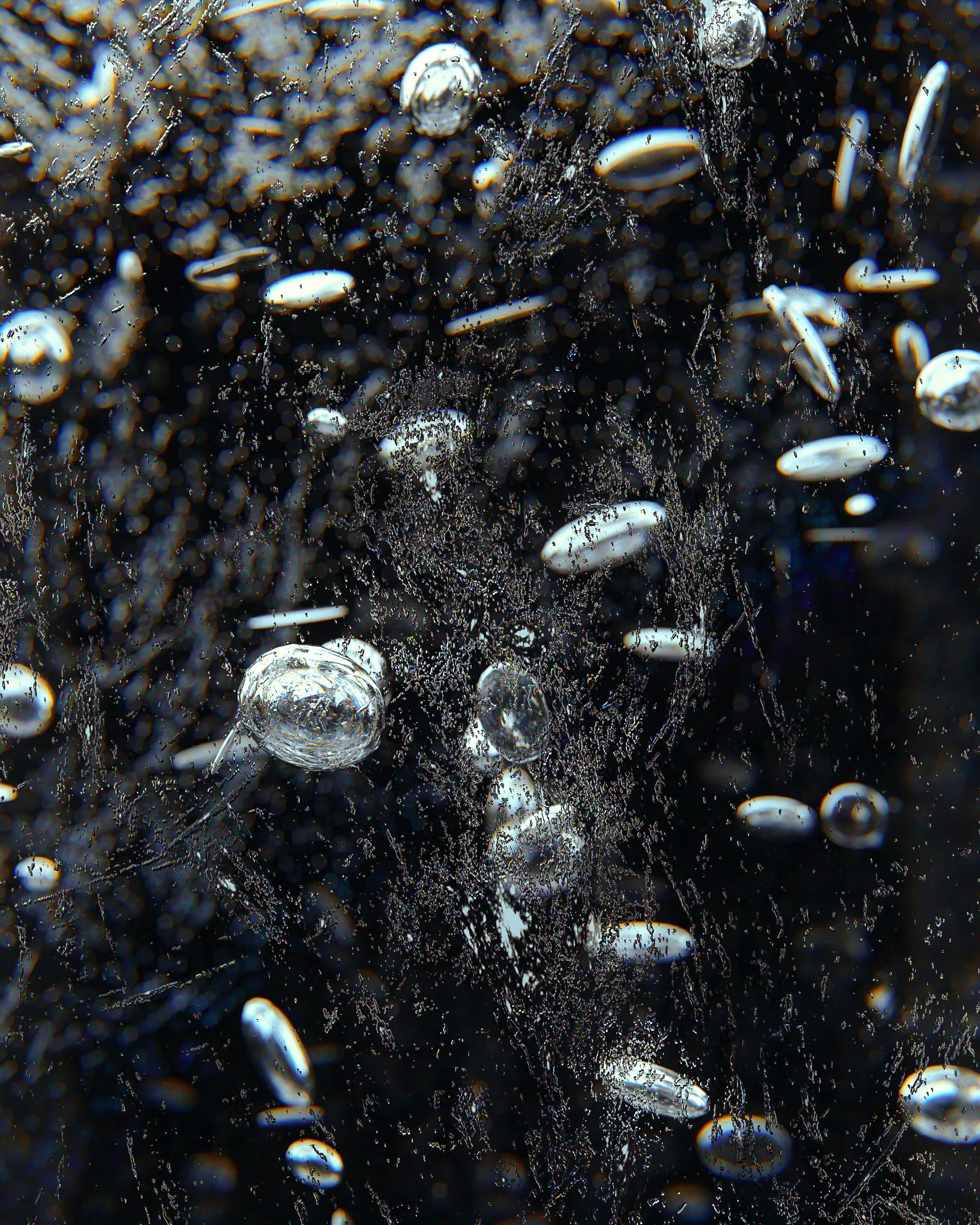 closeup1re.jpg