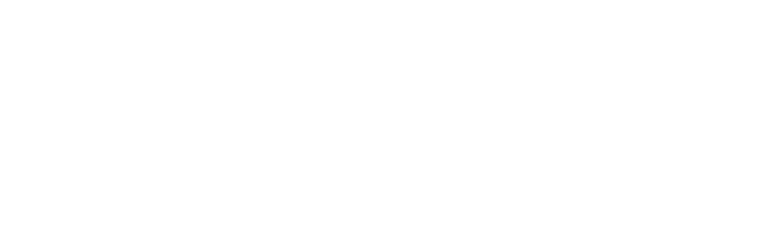 The Digital Transcriptionist