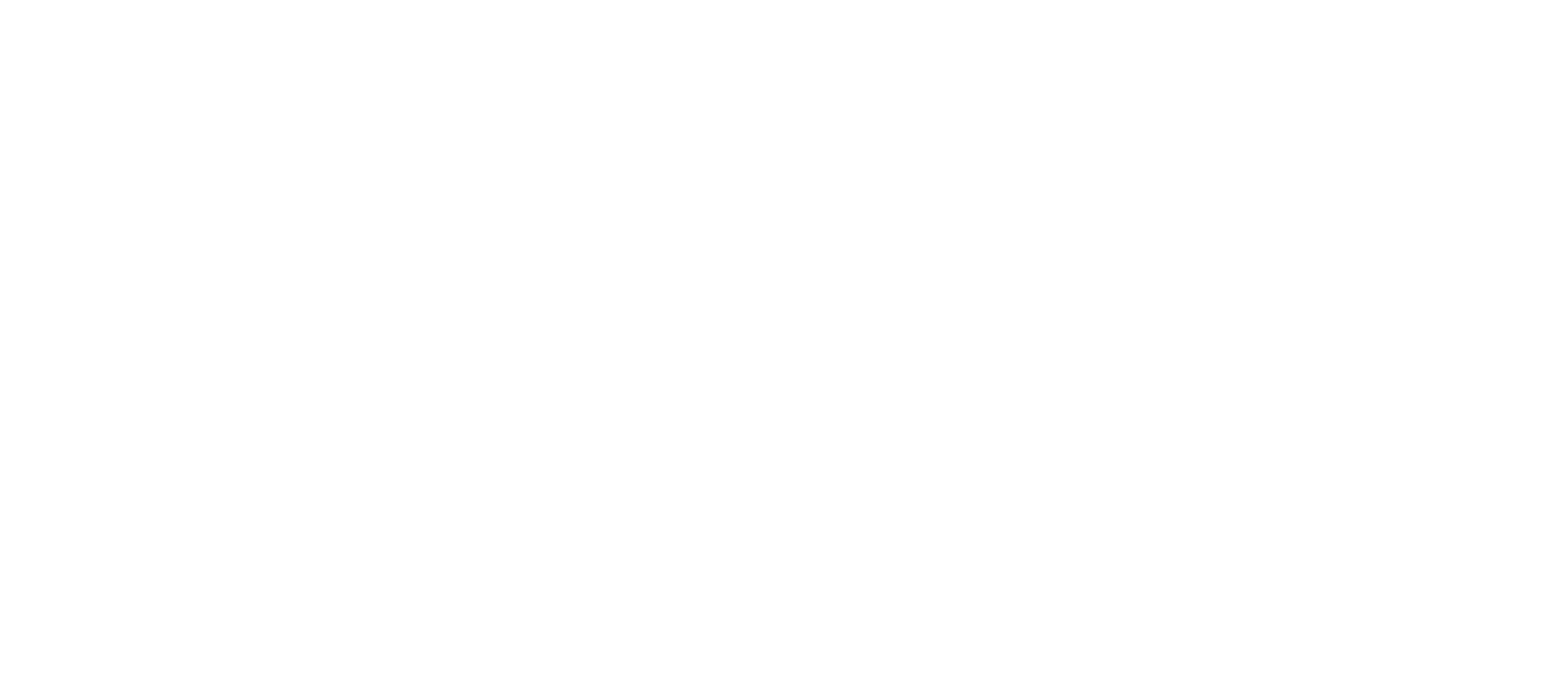 Clemson Formula SAE