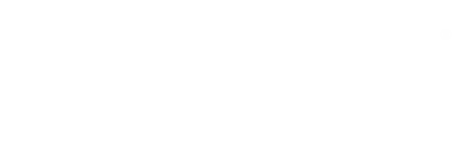 Metis Leadership Group