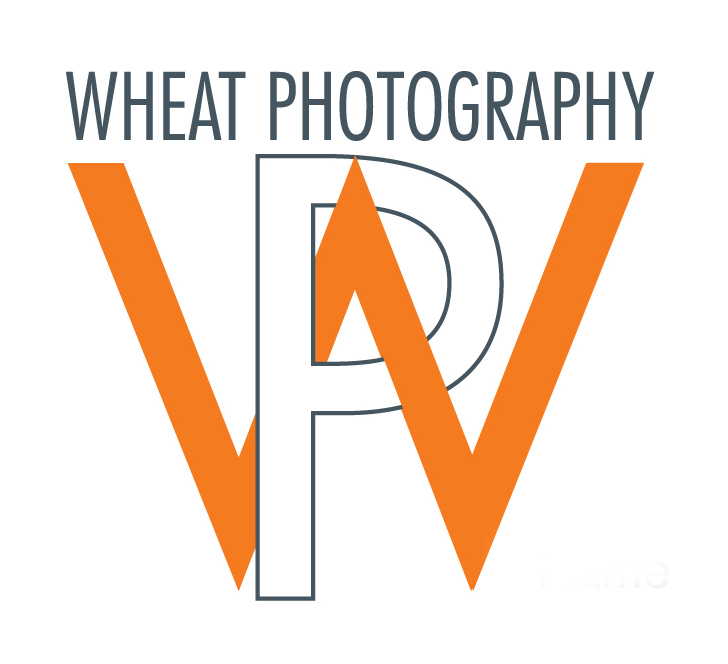 Wheat Photography