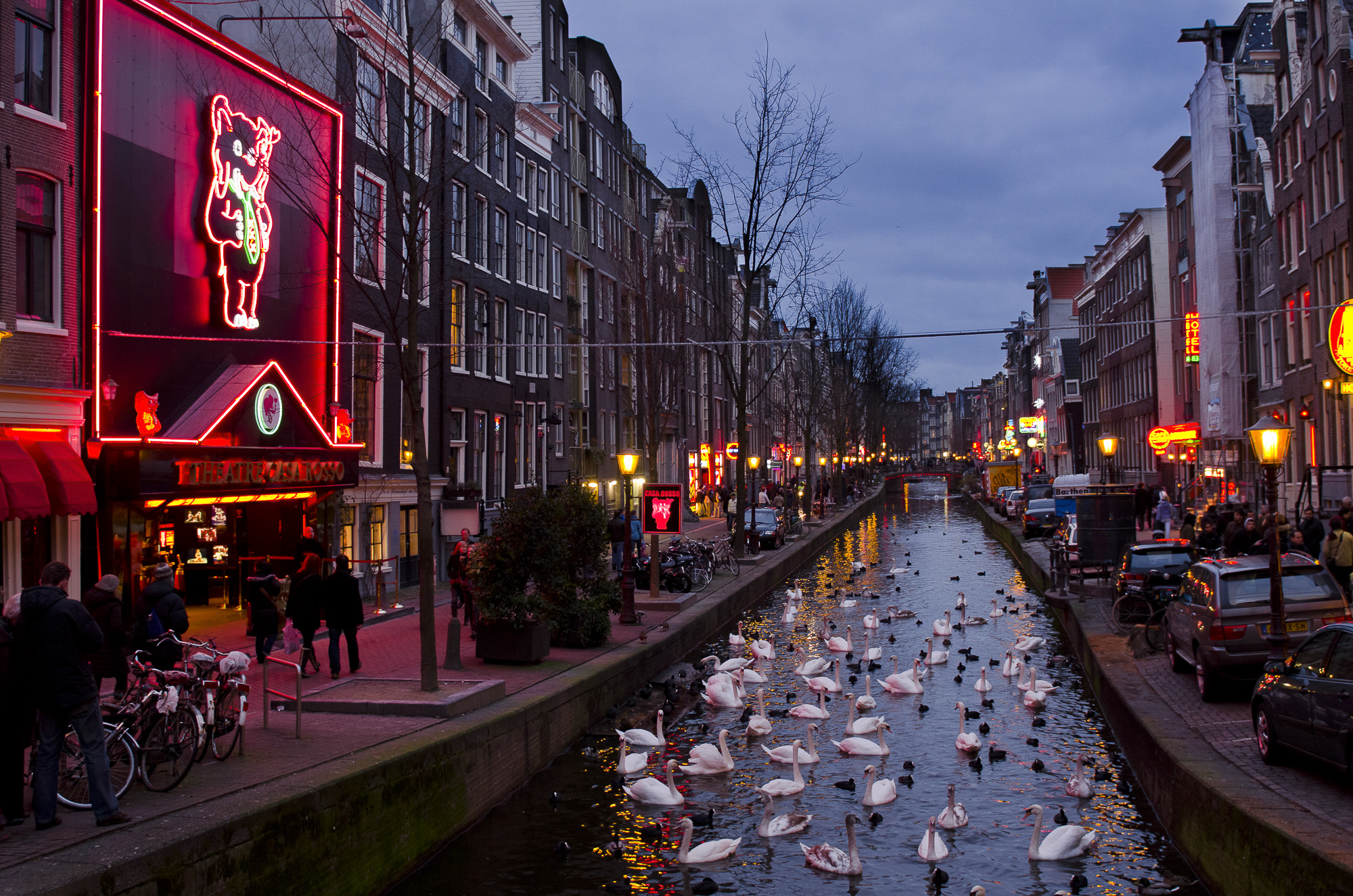 Amsterdam street pic