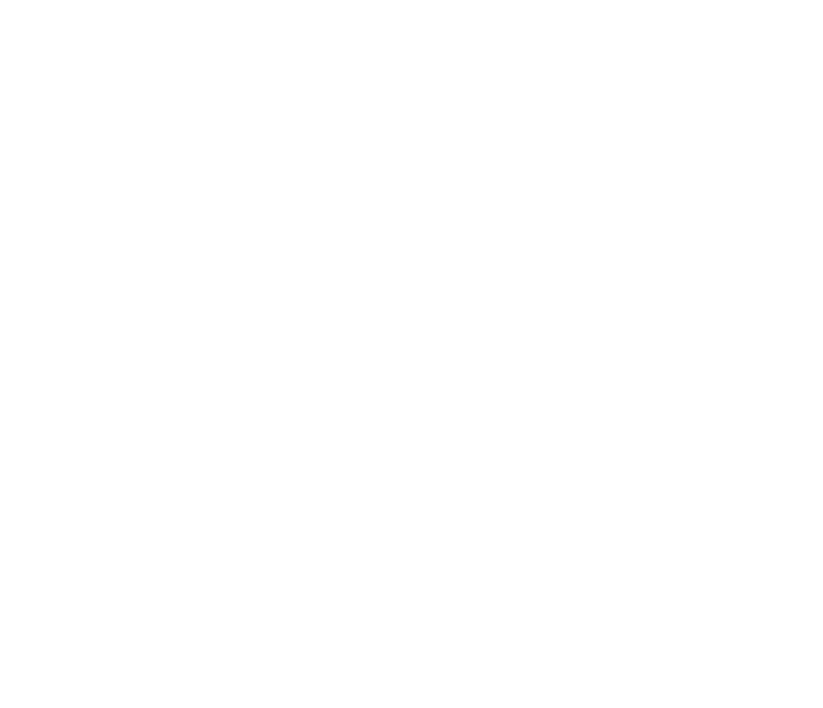 The Shine