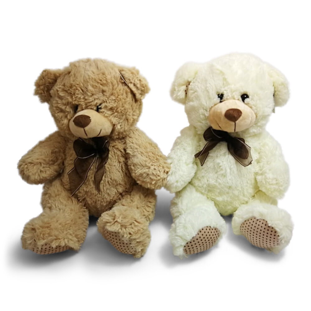 teddy delivery