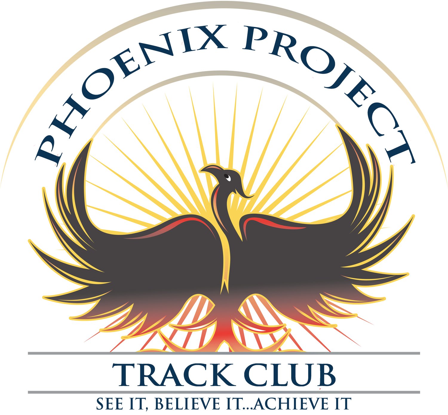 Phoenix Project - TC
