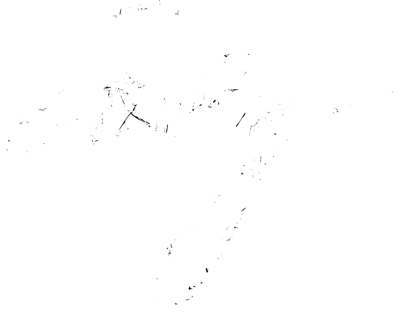emily wade adams