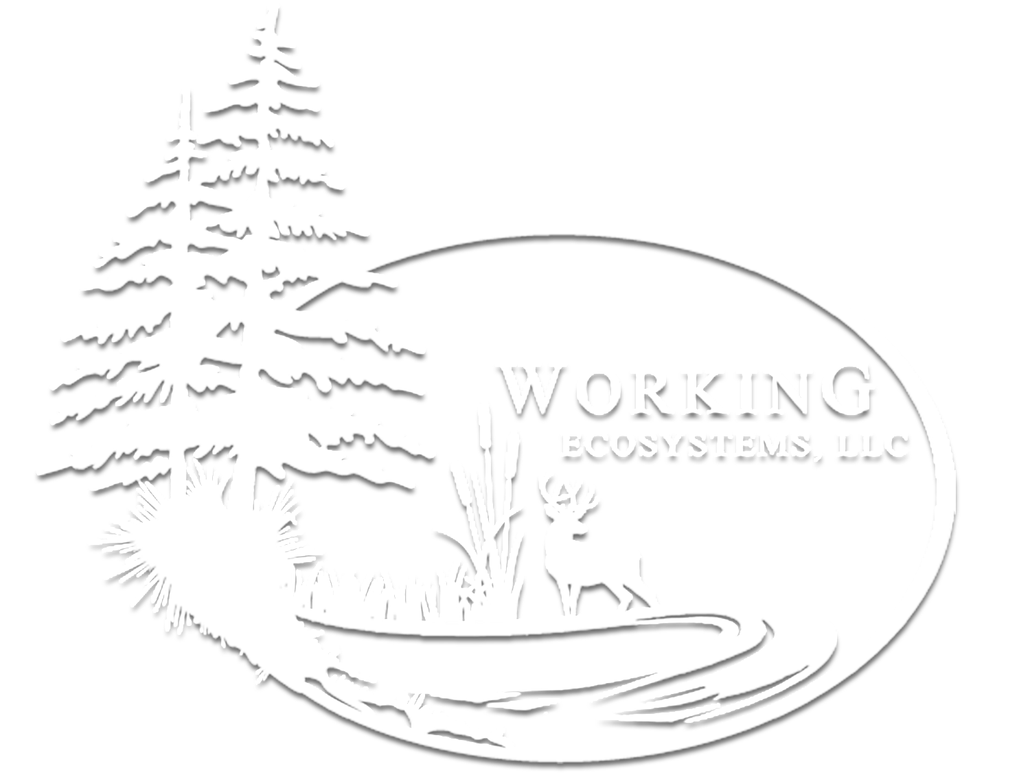 Working Ecosystems, LLC