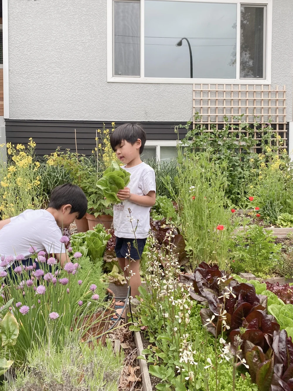 The incredible front yard garden.
