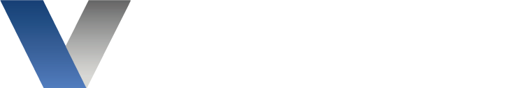 Vision Security Services