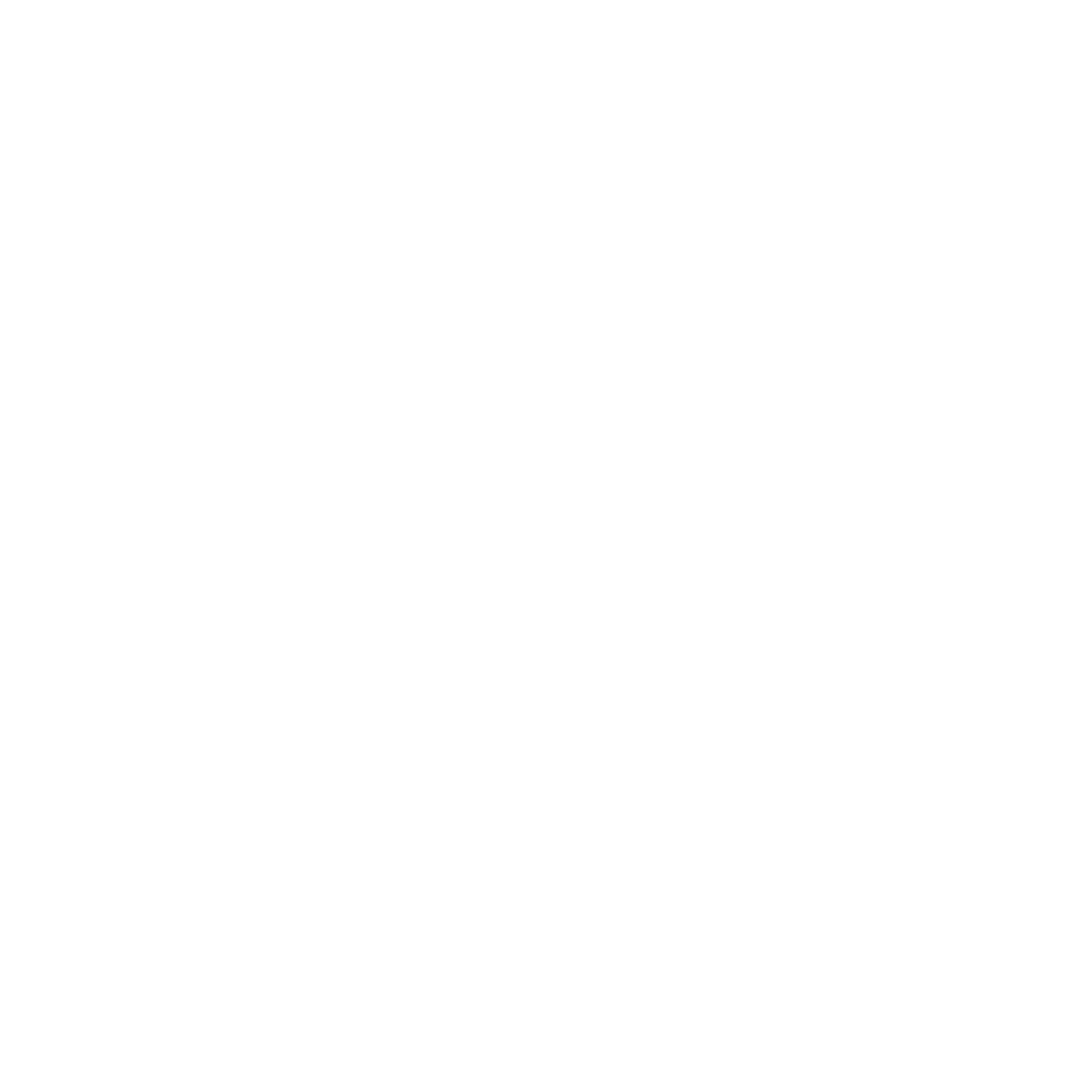 Party Noire