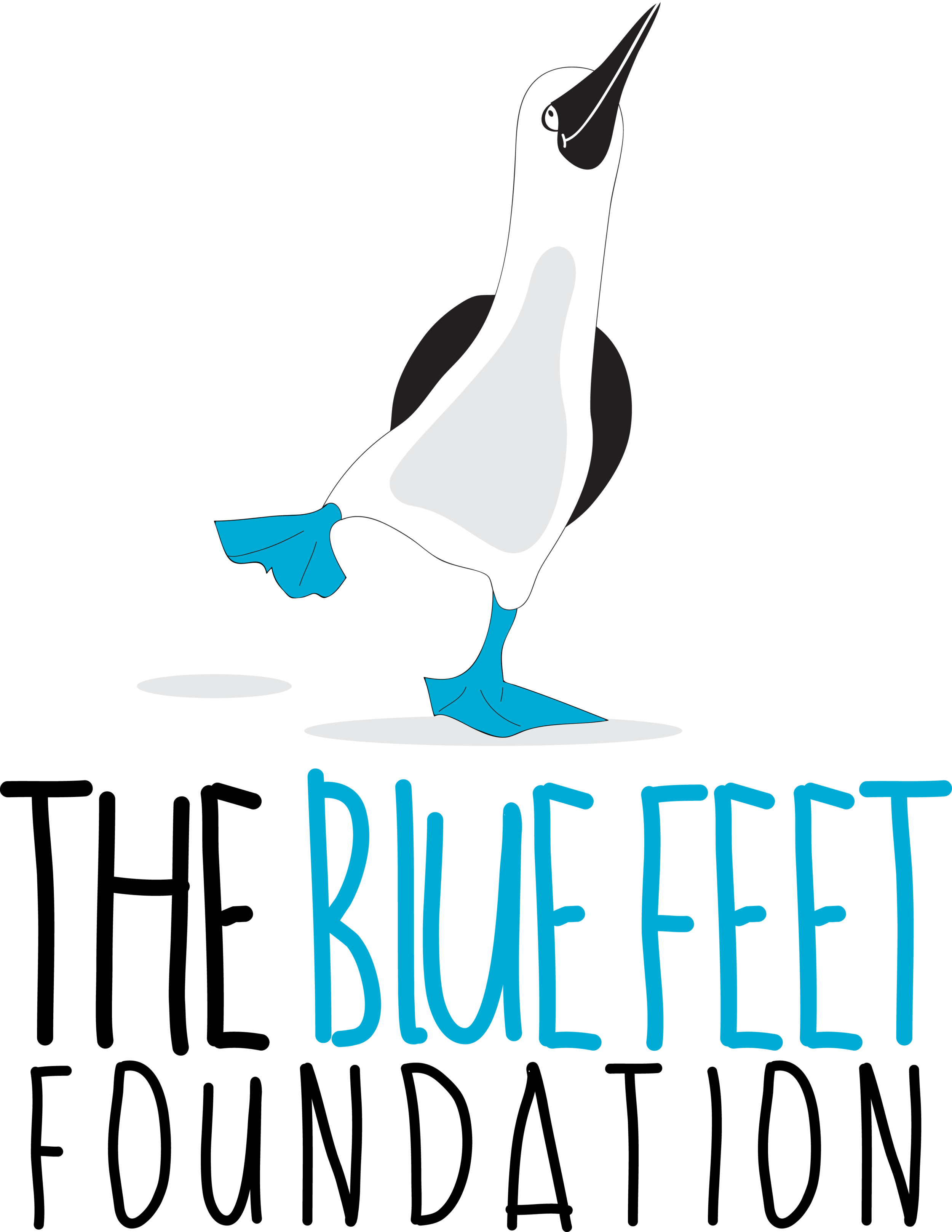 The Blue Feet Foundation