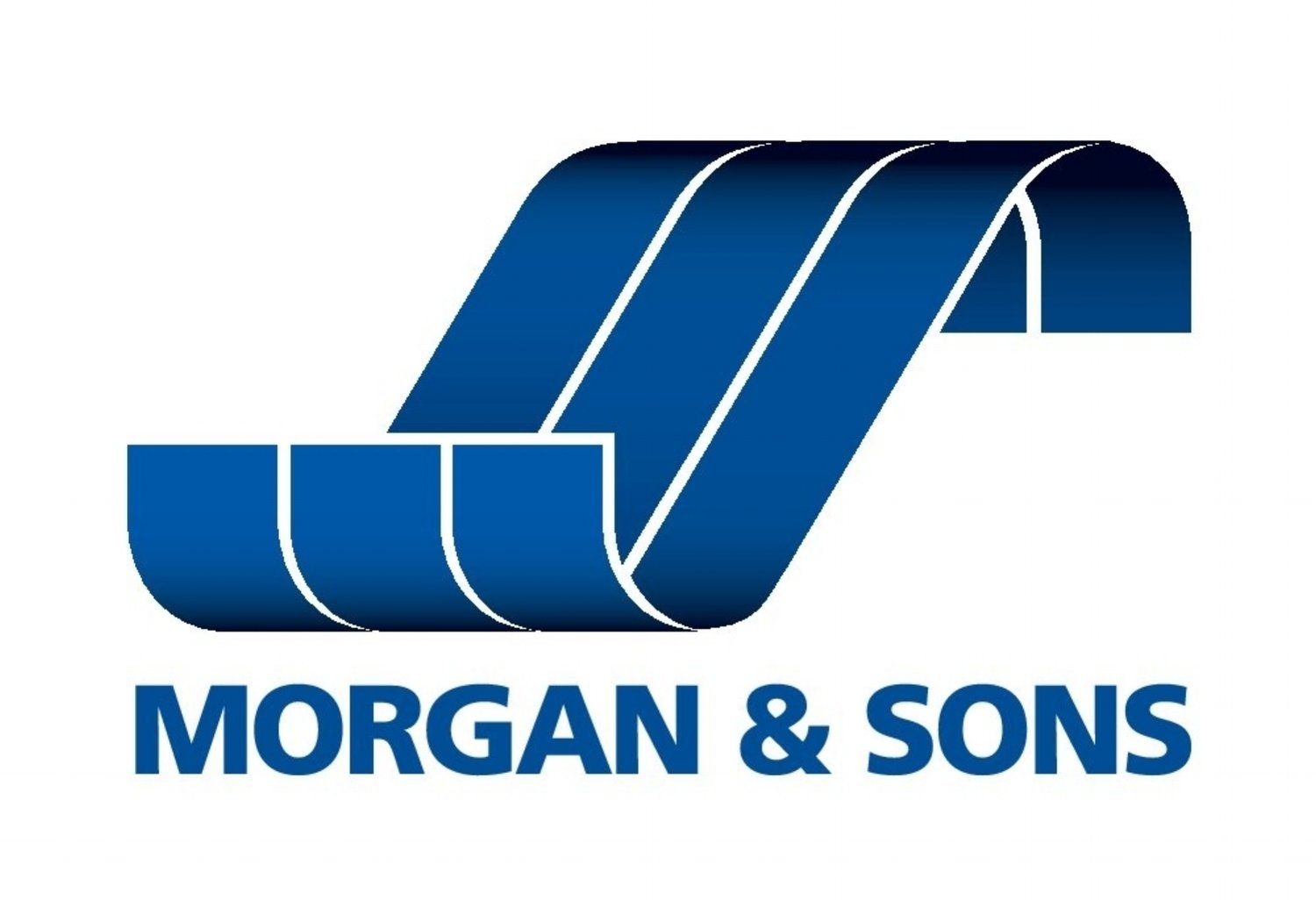 Morgan and Sons Carpet and Upholstery Cleaning