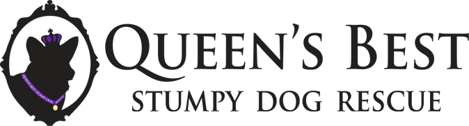 Queen's Best Stumpy Dog Rescue