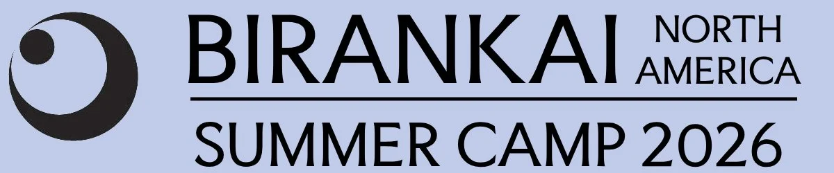 2025 Birankai N.A. Aikido Summer Camp