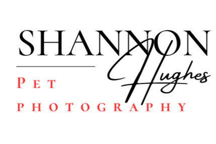 Shannon Hughes Photography