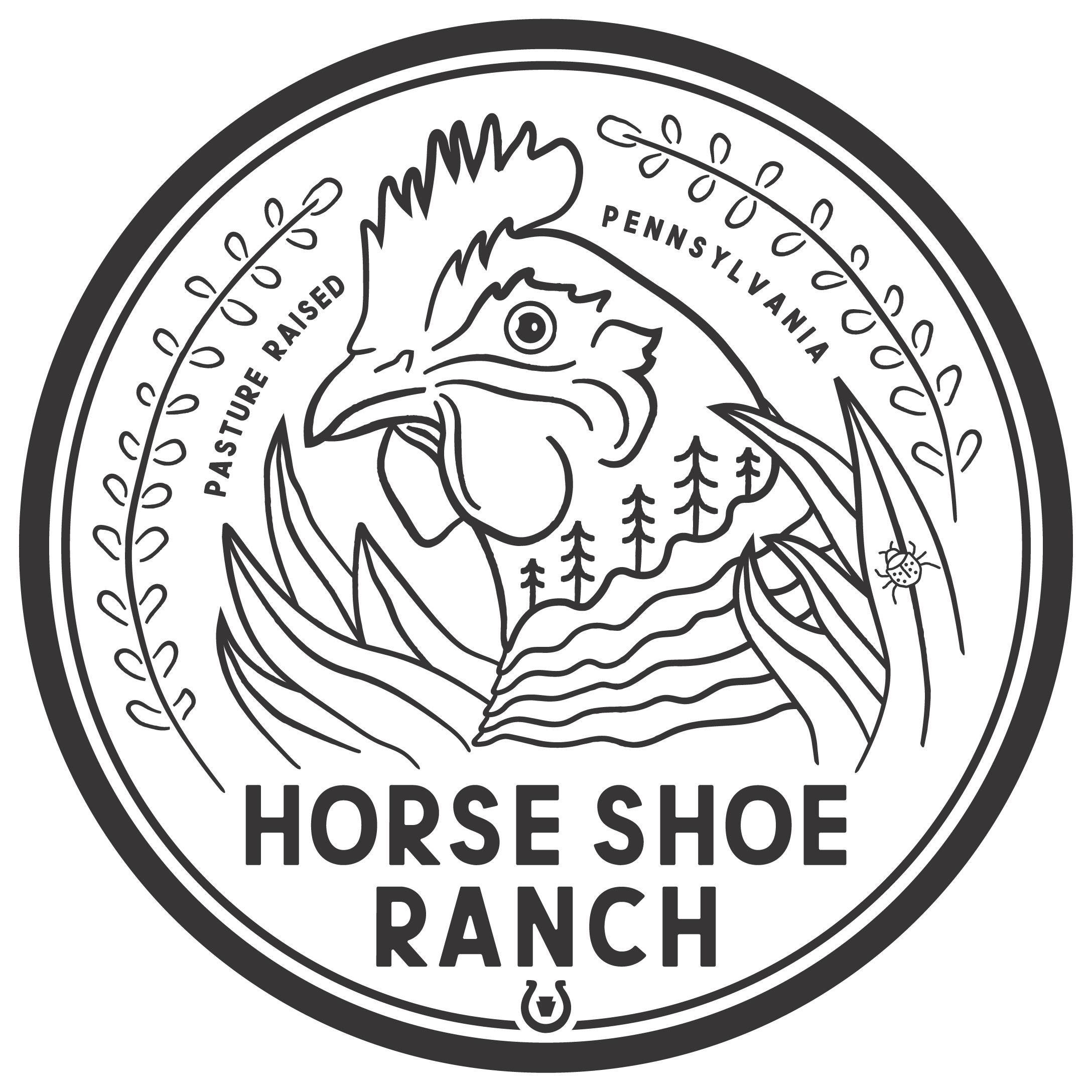 HORSE SHOE RANCH