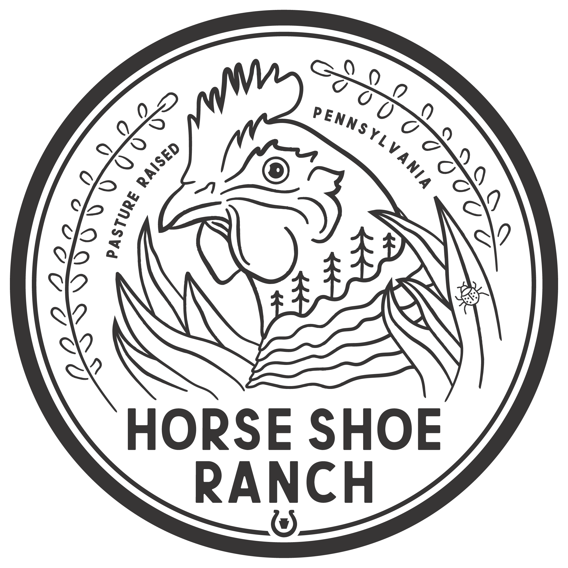 HORSE SHOE RANCH