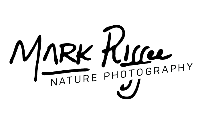 Mark Riffee Nature Photography