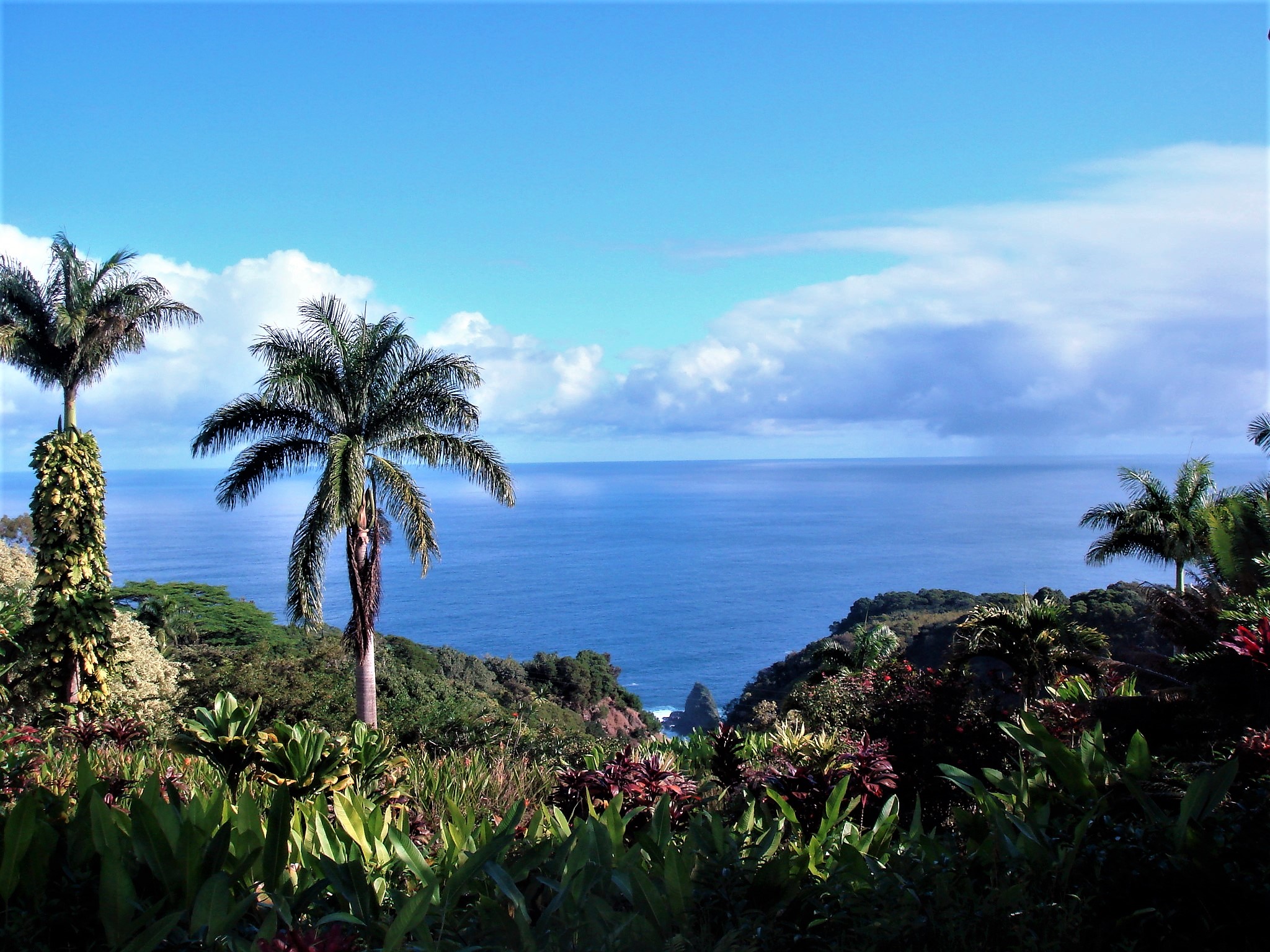 Garden Of Eden Large Metal Prints