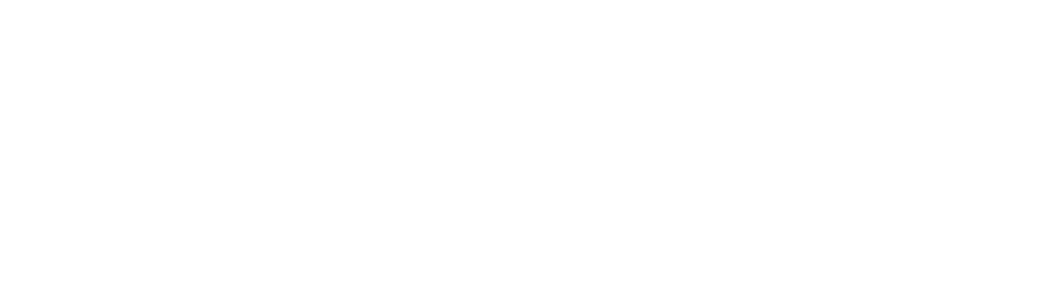 Tech and Innovation in Government