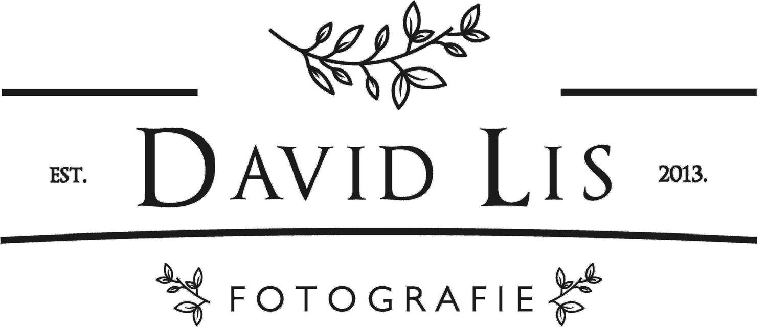 Hochzeitsfotograf David Lis