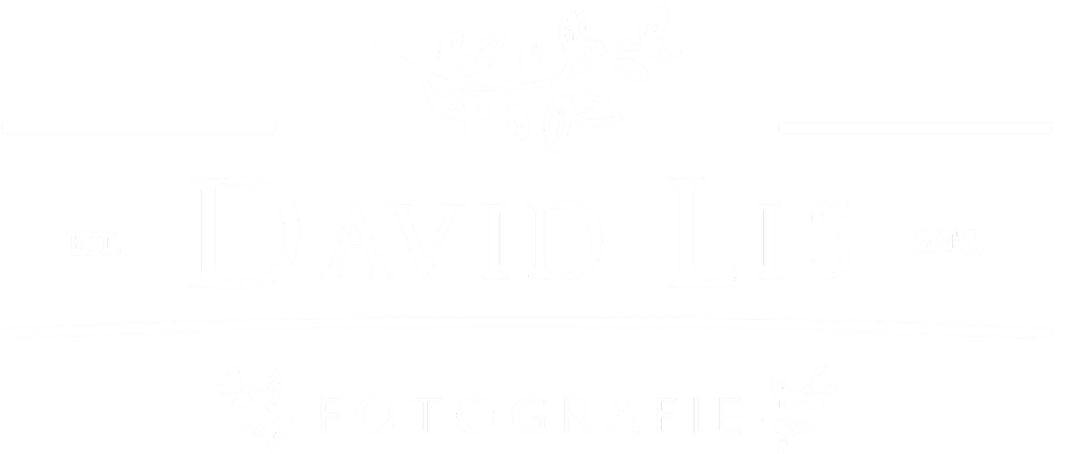 Hochzeitsfotograf David Lis