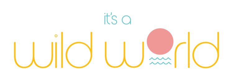 itsawildworld