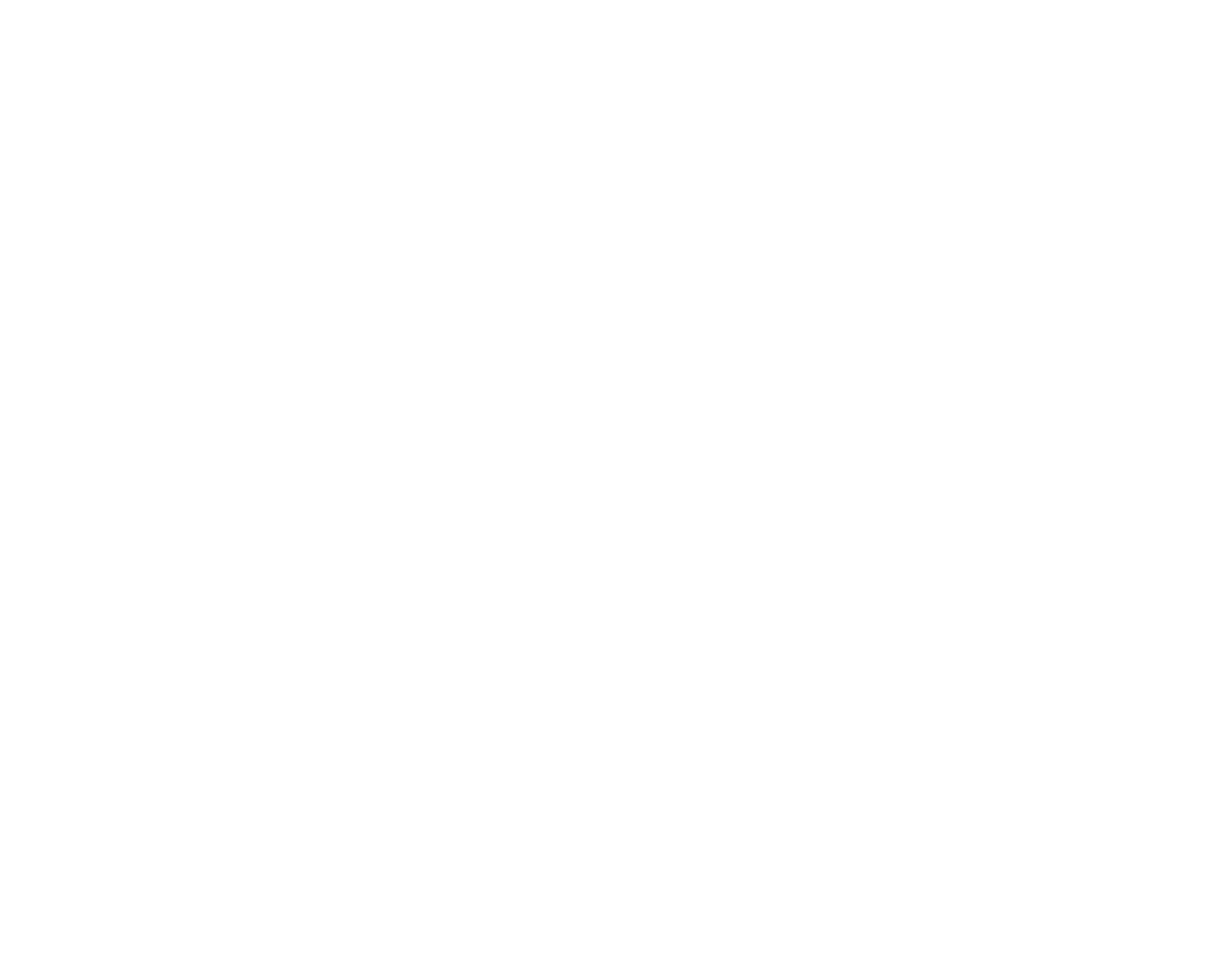 The Healing Hairstylist